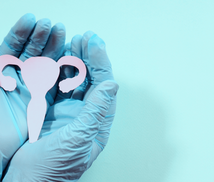 person in blue gloves holding uterus against a blue background